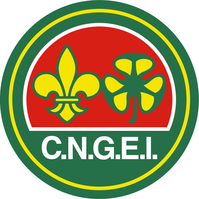 Logo CNGEI